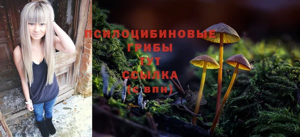 ПСИЛОЦИБИНОВЫЕ ГРИБЫ Богородск