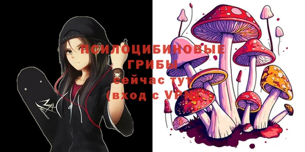 ПСИЛОЦИБИНОВЫЕ ГРИБЫ Богородск