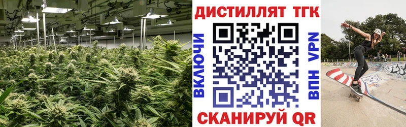 Дистиллят ТГК концентрат  где найти наркотики  Нефтеюганск 